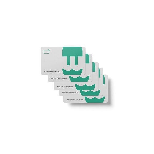 Pacote de 10 cartões RFID