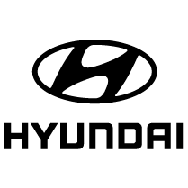 Hyundai compatible with Wallbox chargers